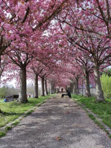 Hôtel du Golf du Domaine du Tremblay à Le Tremblay-sur-Mauldre
