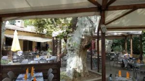 L’Origan à Roquevaire