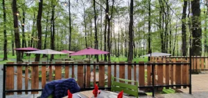 Roulotte des bois fougères à Lys-Haut-Layon