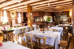 Forêt du Rhin à Offendorf