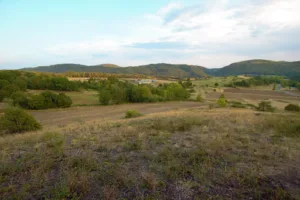 GAEC Le Benefire à Sauclières