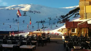 L’alpaka à Orcières