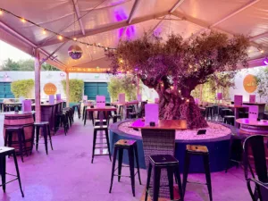 LE BAB Lattes à Lattes