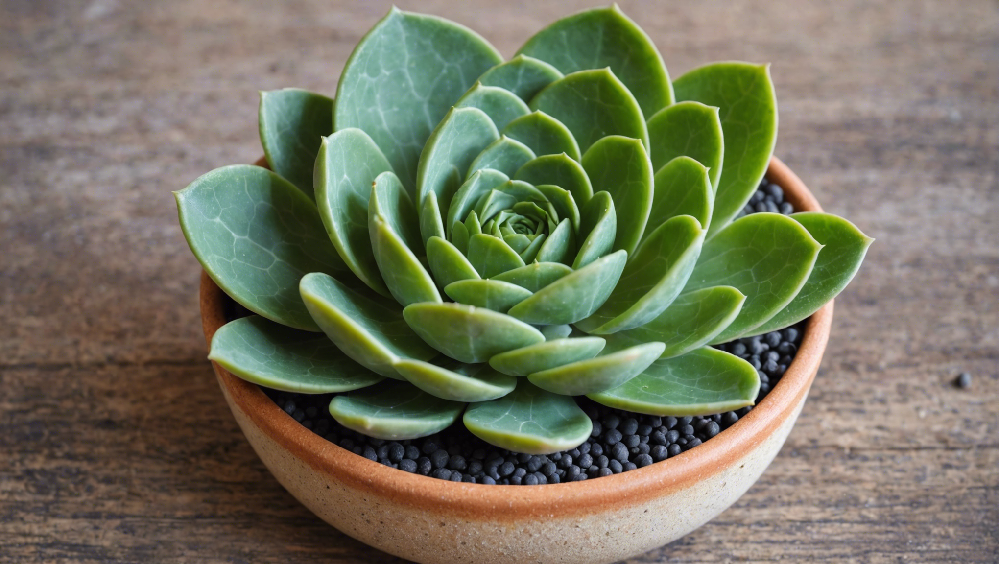 découvrez le guide ultime pour préparer un délicieux petit salé aux lentilles en un tour de main. suivez nos étapes simples pour un plat succulent et réconfortant.