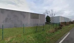 Toro à Illkirch-Graffenstaden