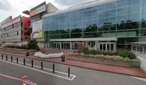 Basilic à Rosny-sous-Bois