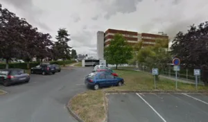 POIS JAUNE à La Roche-sur-Yon