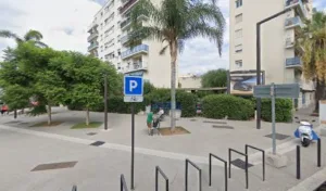 Fleurs de Courgettes à Nice