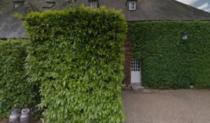 Le Séran à Audrieu