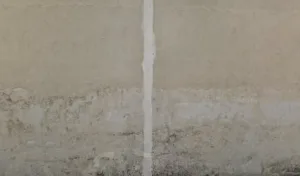 Elior Entreprises à Bourg-lès-Valence