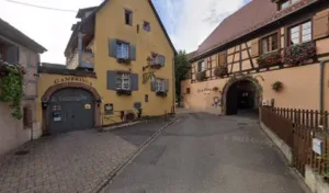 Biotop résolution à Beblenheim