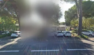 Les goélands à La Grande-Motte