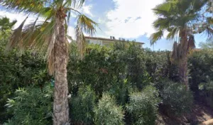 Restaurant Le Green à Mandelieu-La Napoule