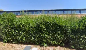 Africain restaurant à Cergy