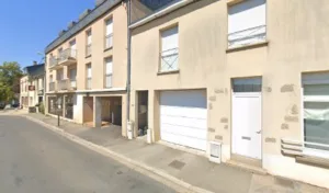 Capucin Gourmand à Laval