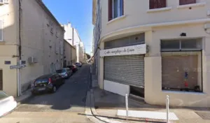 Téõ-Sushi traiteur cuisine asiatique à Toulon