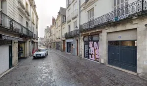 Feuille De Vigne à Tours